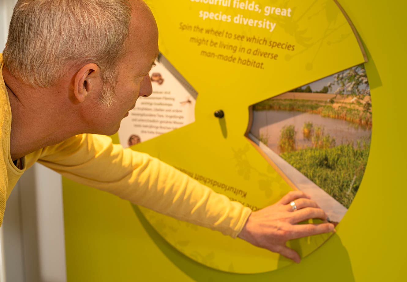 Naturparkzentrum_Hoher_Flaeming_Ausstellung_FischundBlume_14.jpg