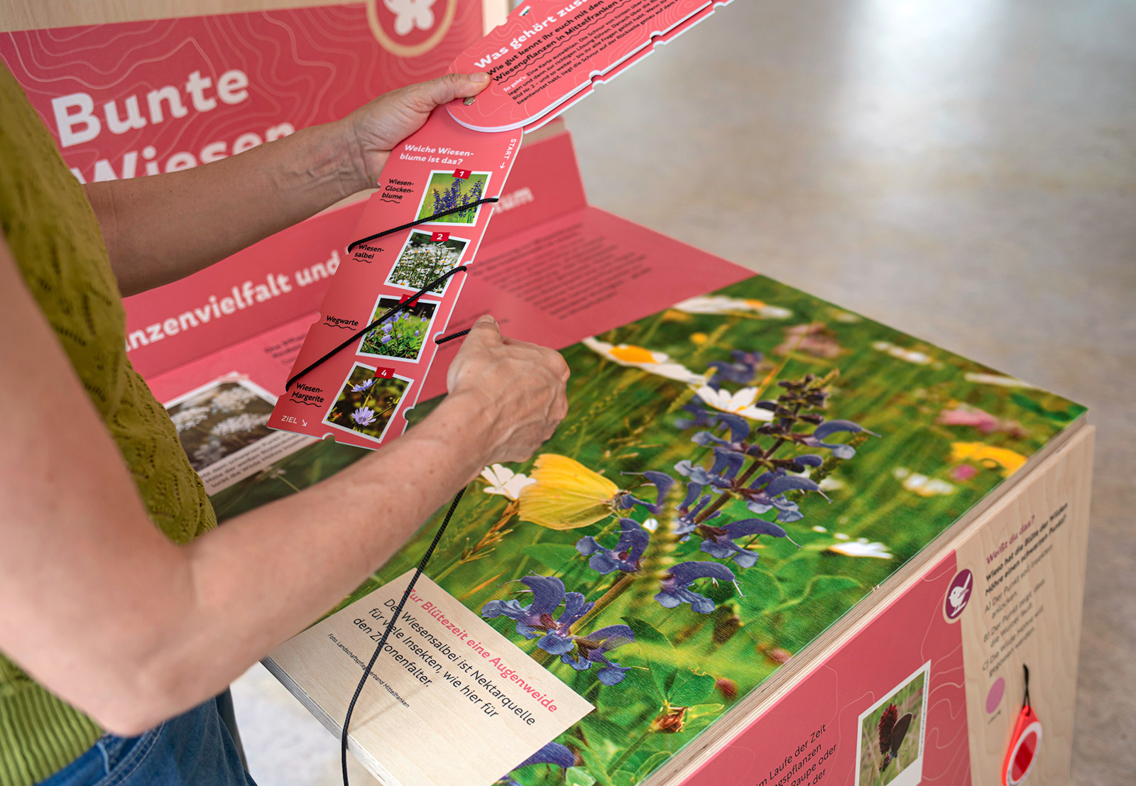 Kulturland Franken – Wanderausstellung, Bandolino-Spiel zu Zusammenhängen von Flora & Fauna