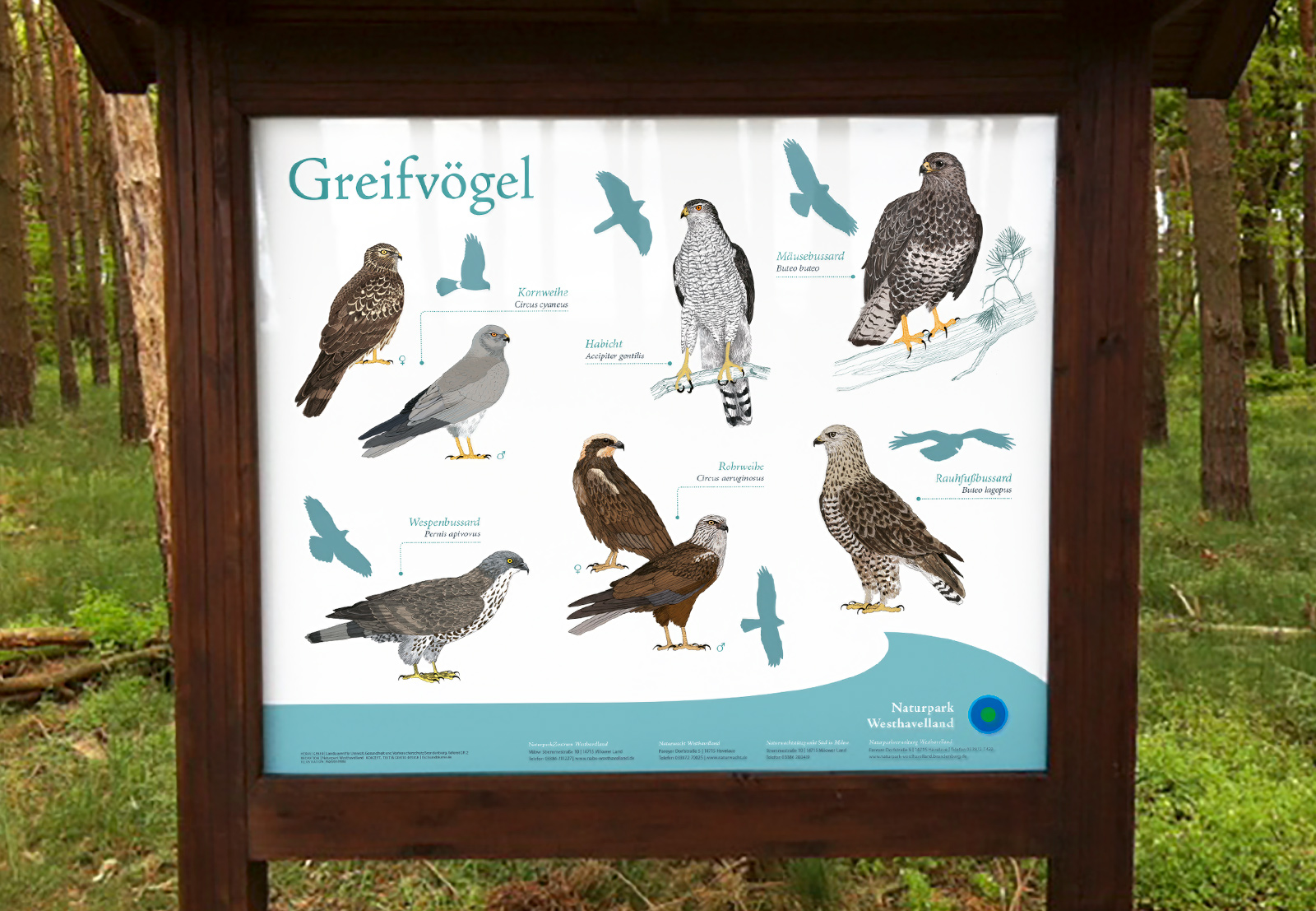 NPWH Vogeltafeln FischundBlume